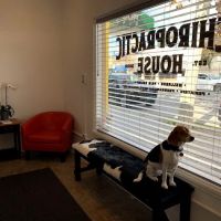 Chiropractic House ico