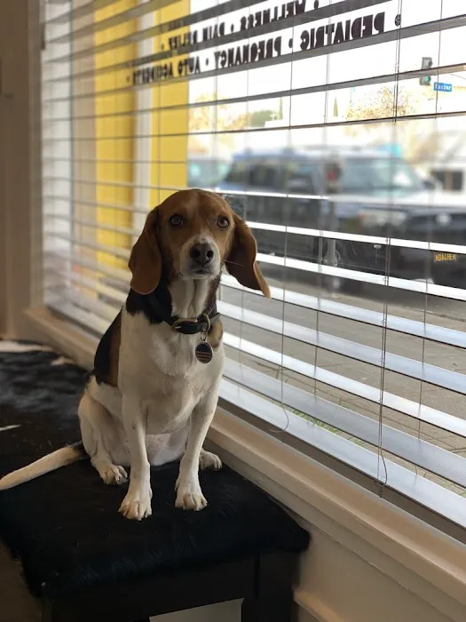 Chiropractic House Picture 5