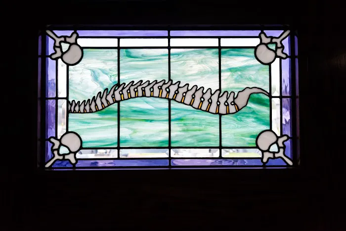 Chernich Chiropractic Picture 3