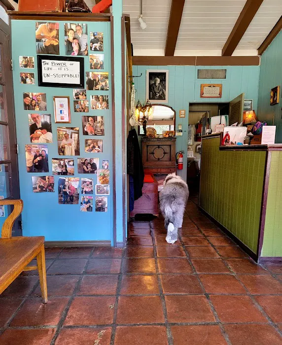 Cornerstone Chiropractic Inc Picture 2