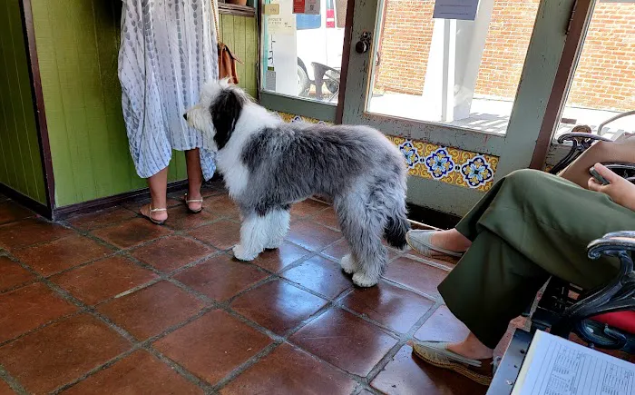 Cornerstone Chiropractic Inc Picture 4