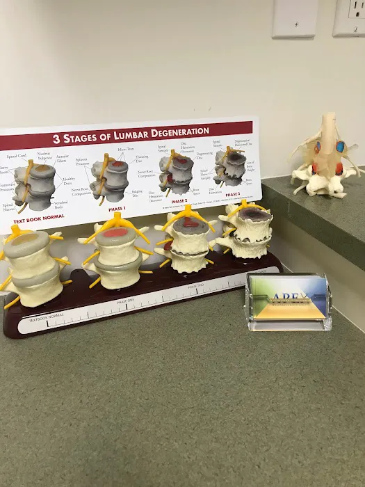 Apex Wellness Chiropractic Picture 2