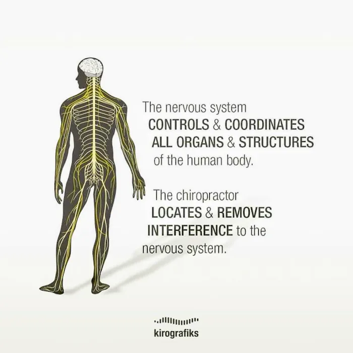 Kian Chiropractic Care Picture 9