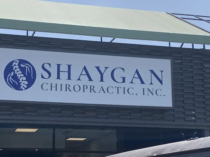 Shaygan Chiropractic Picture 4