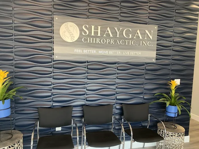 Shaygan Chiropractic Picture 2