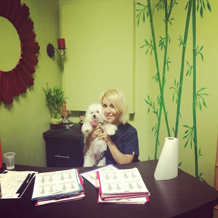 Natural Health Chiropractic clinic Picture 3