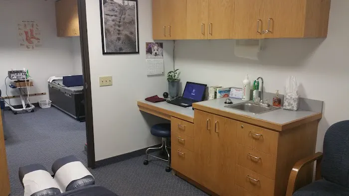 Clarizio Chiropractic, Inc. Picture 8