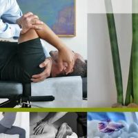 Hill Chiropractic, Dr. Richard A. Hill ico