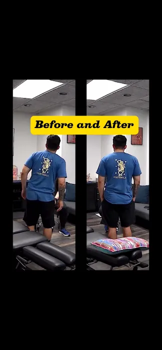 Fujii Chiropractic Lab Picture 1