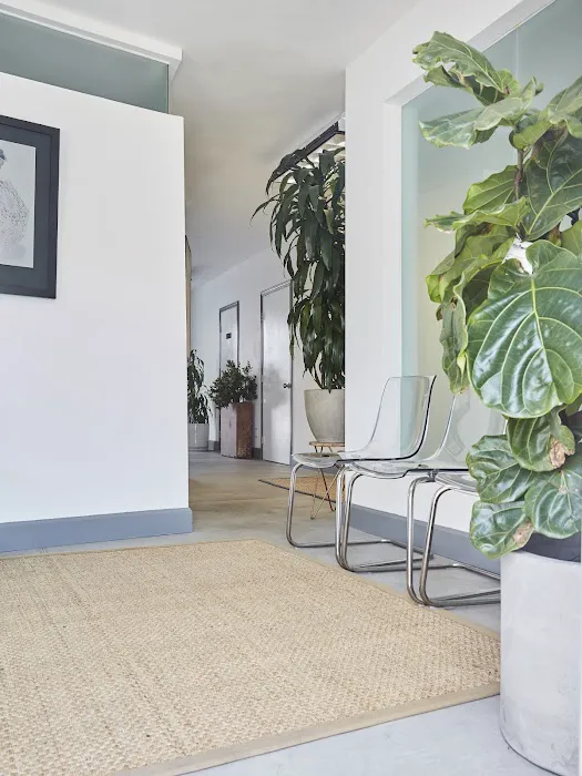 Sands Chiropractic Picture 6