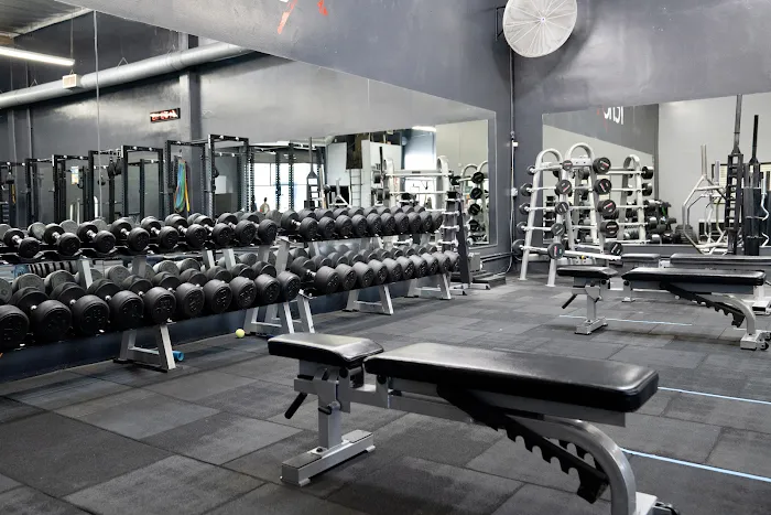 YouMove Chiropractic & Fitness Picture 3