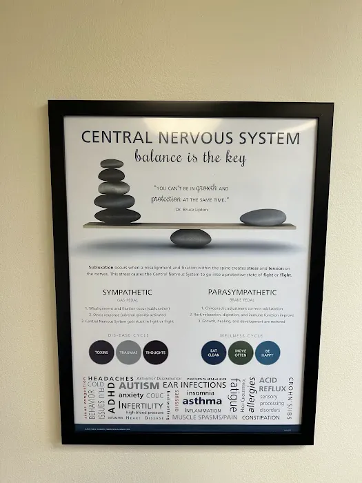 Tao Chiropractic Picture 8