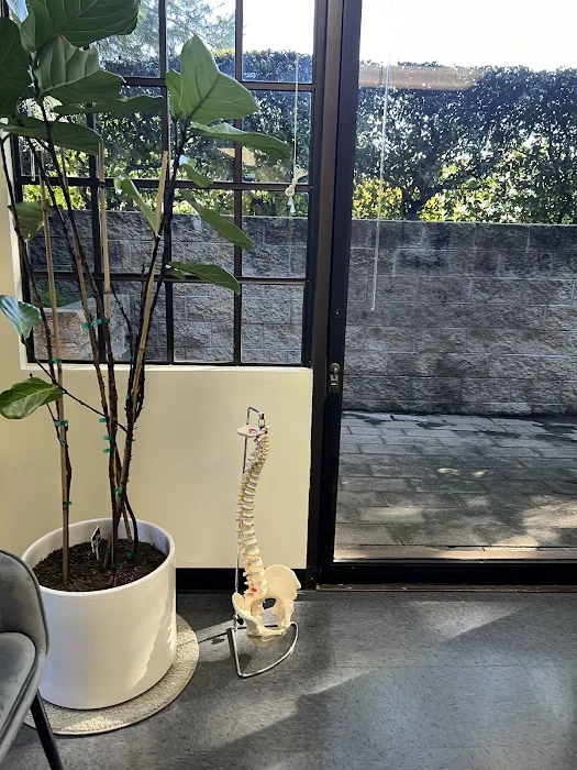 Tao Chiropractic Picture 9
