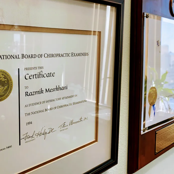 Razmik Mesrkhani Chiropractic, Inc. Picture 6