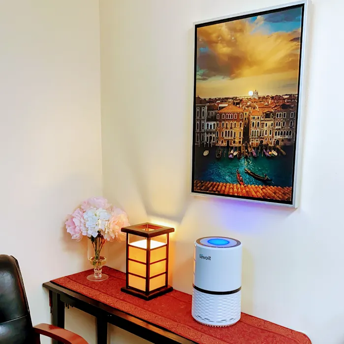 Razmik Mesrkhani Chiropractic, Inc. Picture 5