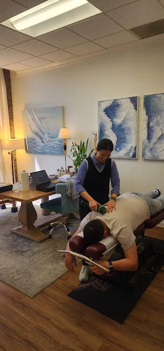 Life Choice Wellness Center (ChiroTheory) Picture 7