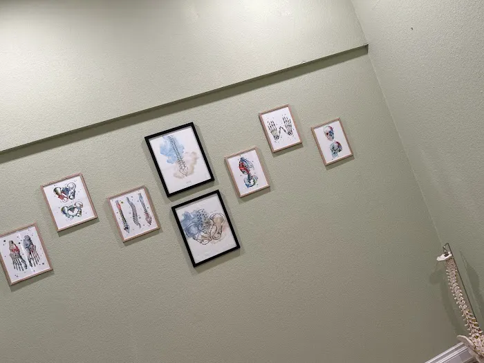 Yin Chiropractic Picture 3