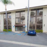 One & Only Chiropractic ico