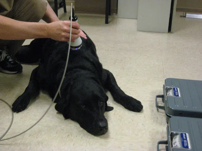 Lighthouse Family Wellness Center Picture 10