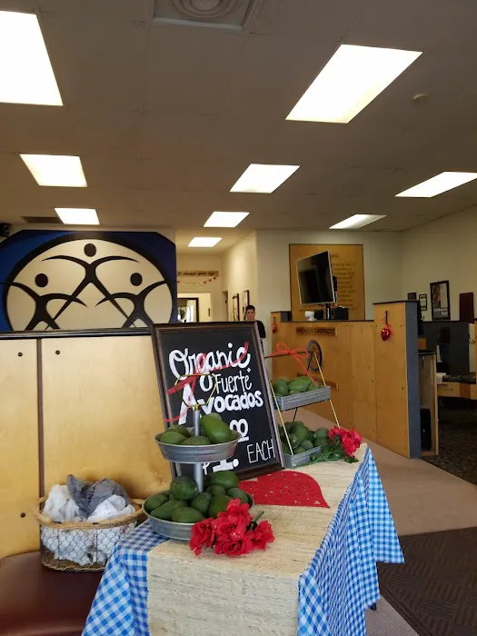 Pure Health Chiropractic Picture 10