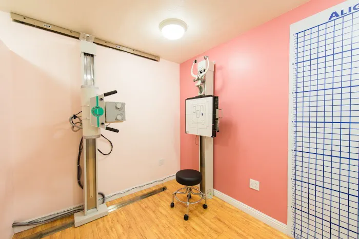 Tustin Chiropractic & Acupuncture Clinic Picture 6