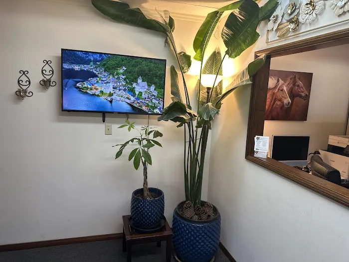 Yousef Beshqoy, D.C. / Holistic Healing Center Picture 3