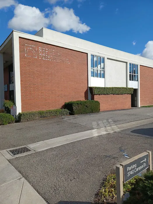 Chiropractic Sansui Clinic - Chiropractic Orthopedic Picture 2