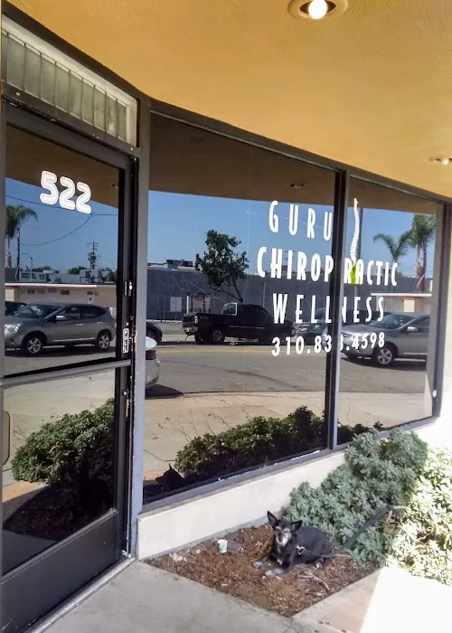 Guru Chiropractic Picture 1