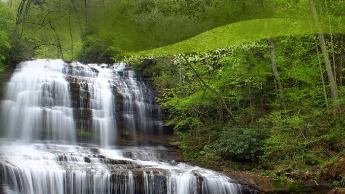 Chiropractic Wellness Group Picture 3