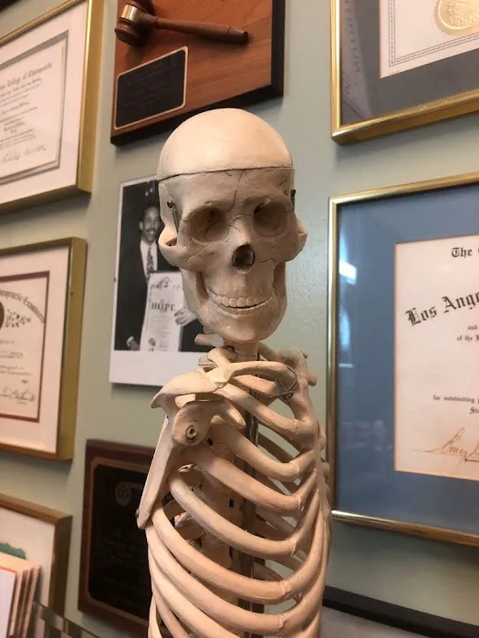 Chiropractic Wellness Group Picture 5