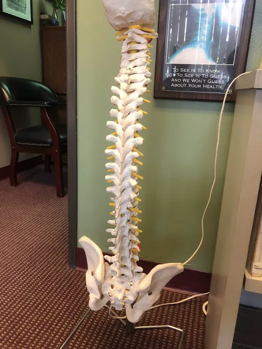 Chiropractic Wellness Group Picture 8