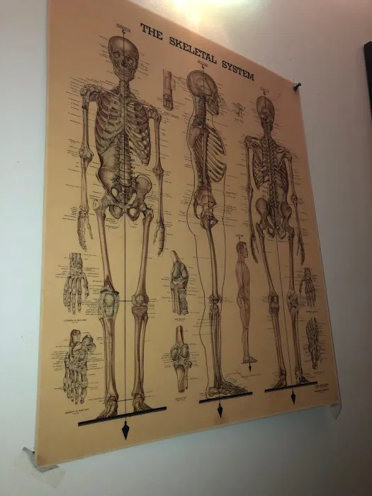 Chiropractic Wellness Group Picture 10