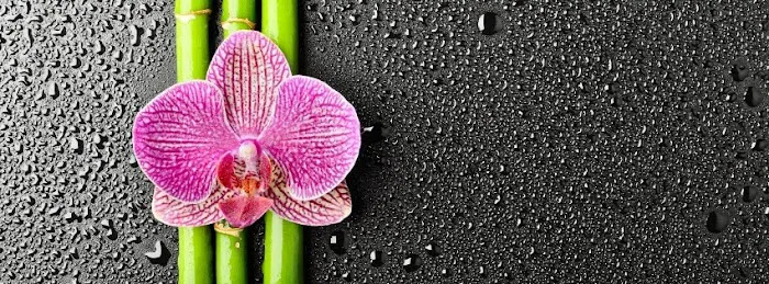 Arcadia Health Chiropractic Picture 1