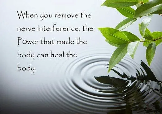 Arcadia Health Chiropractic Picture 4