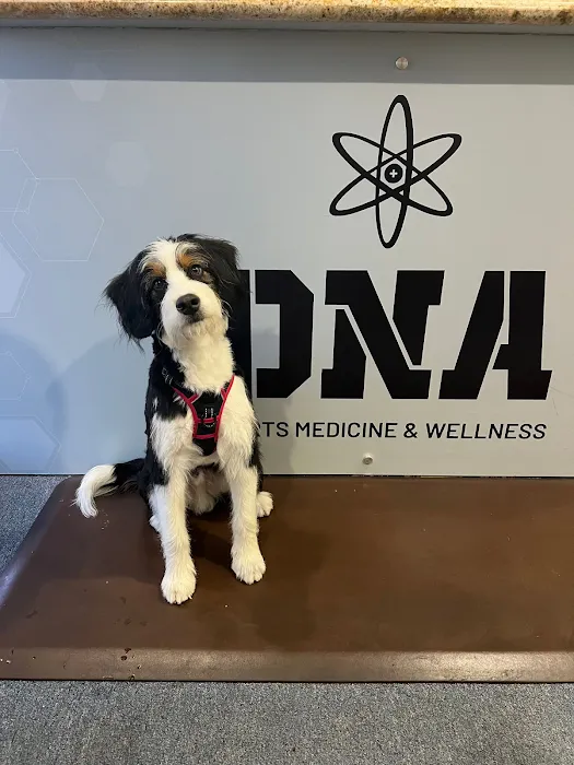 DNA Sports Medicine & Wellness Picture 3