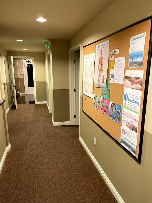 Your Chiropractic Picture 1