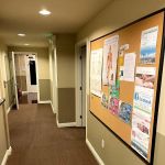 Your Chiropractic
