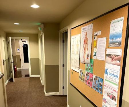 Your Chiropractic