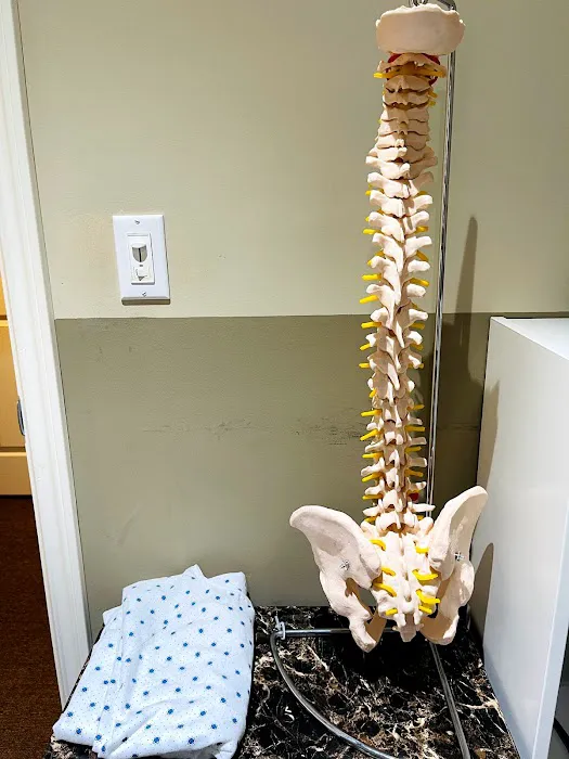 Your Chiropractic Picture 10