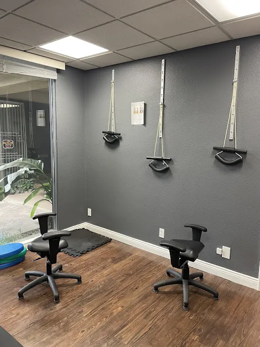 Salse Chiropractic Picture 4
