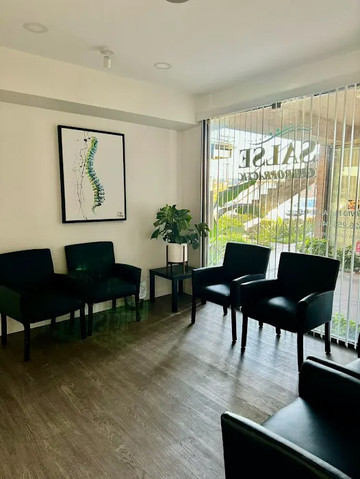 Salse Chiropractic Picture 6