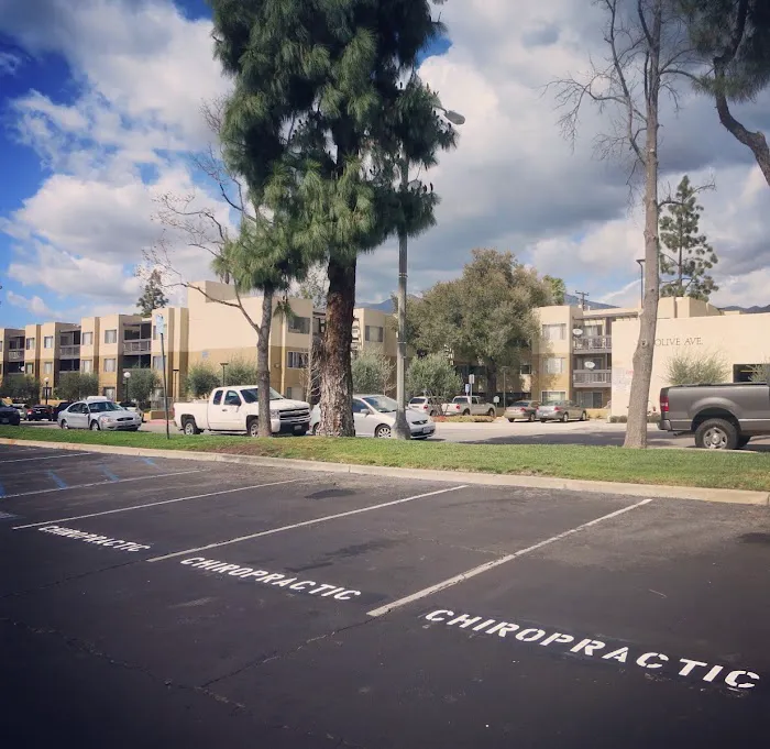 Balance Chiropractic Picture 6