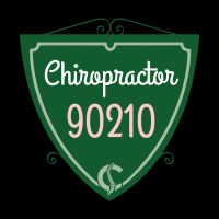 Chiropractor90210 ico