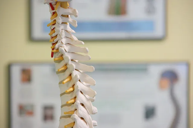 ADIO Chiropractic Picture 8