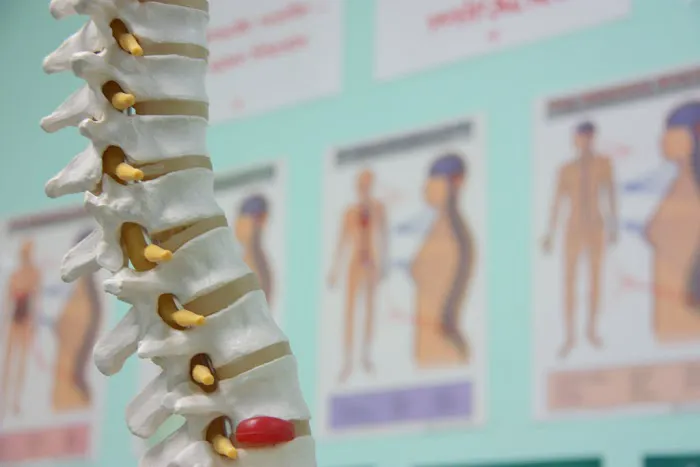 ADIO Chiropractic Picture 10