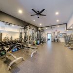 Schroeder Chiropractic Health