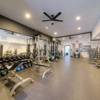 Schroeder Chiropractic Health ico