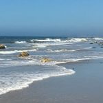 Brenda Grice Laue, DC, RYT