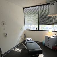 darling Chiropractic ico