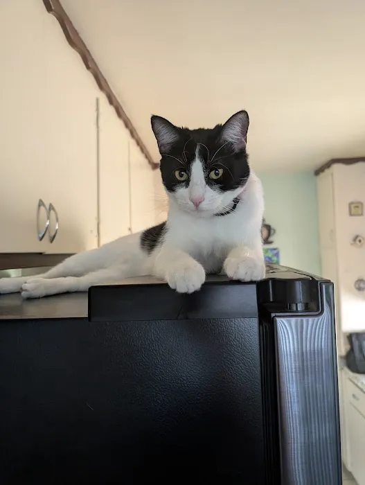 Newport Center Family Chiropractic Picture 5